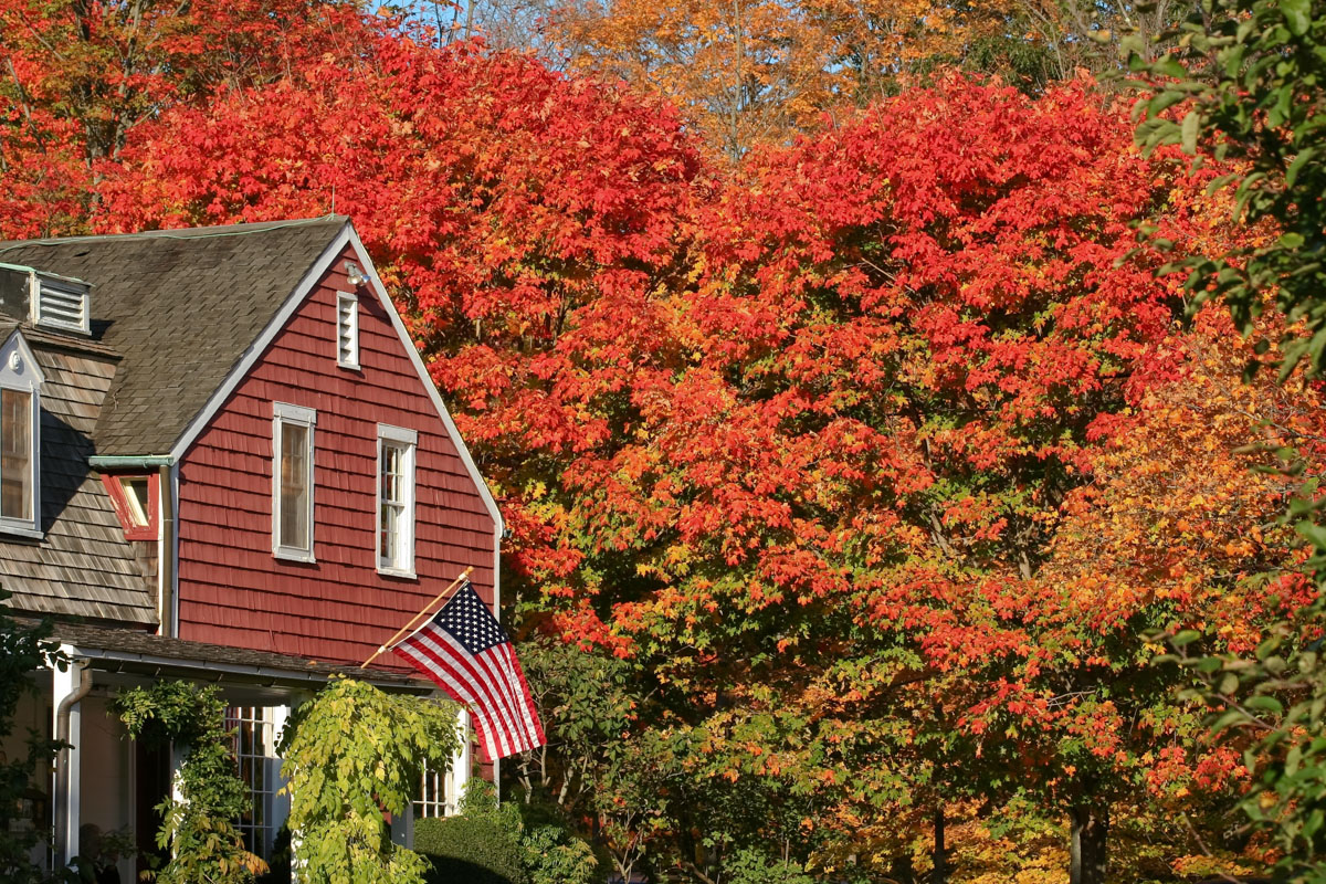 Frame NEW ENGLAND - FOLIAGE TOUR IN UNA SETTIMANA