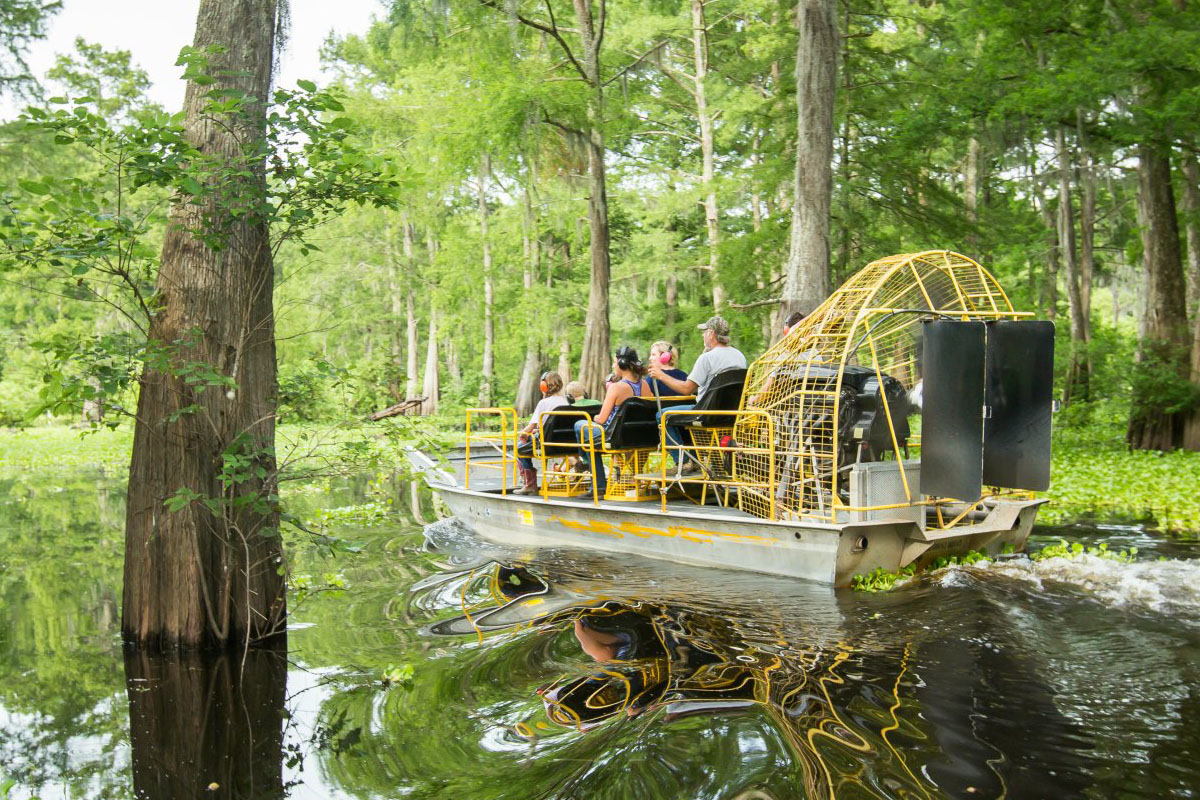 SWAMP E BAYOU